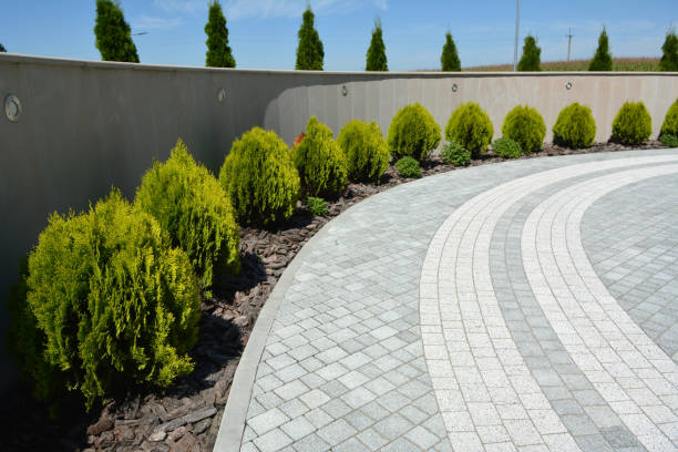 Best Custom Driveway Pavers  in Greenwood, IN